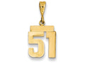 FJC Finejewelers 14k Yellow Gold Small Polished Number 51 Charm