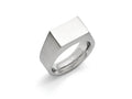 Chisel Stainless Steel Polished And Brushed Signet Ring