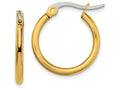 Chisel Stainless Steel Gold Ip Plated 19mm Hoop Earrings