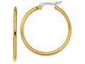 Chisel Stainless Steel Gold Ip Plated 32mm Hoop Earrings