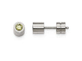 Chisel Stainless Steel CZ August Birthstone Polished Post Earrings