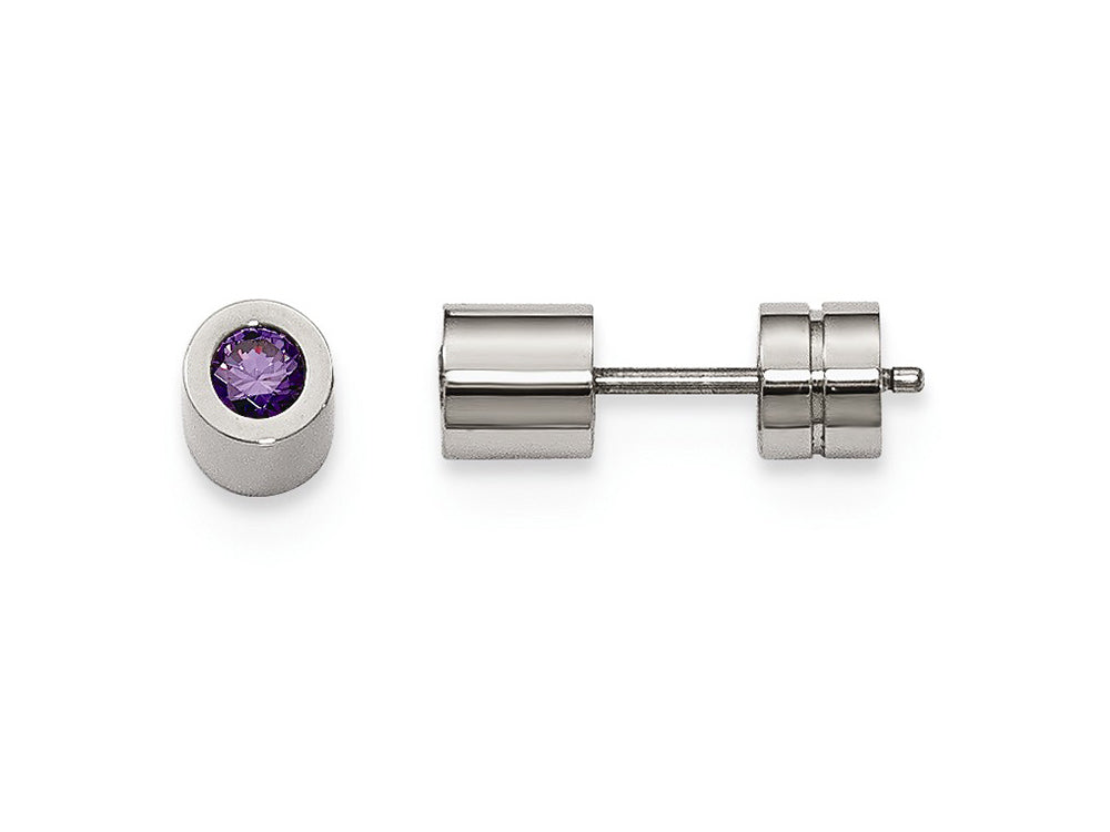 Chisel Stainless Steel CZ Feb Birthstone Polished Post Earrings