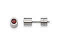 Chisel Stainless Steel CZ Jan Birthstone Polished Post Earrings