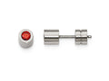 Chisel Stainless Steel CZ July Birthstone Polished Post Earrings