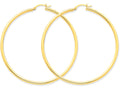 FJC Finejewelers 14k Yellow Gold Polished 2.5mm Round Hoop Earrings
