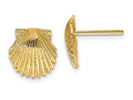 FJC Finejewelers 14k Yellow Gold Scallop Shell Post Earrings