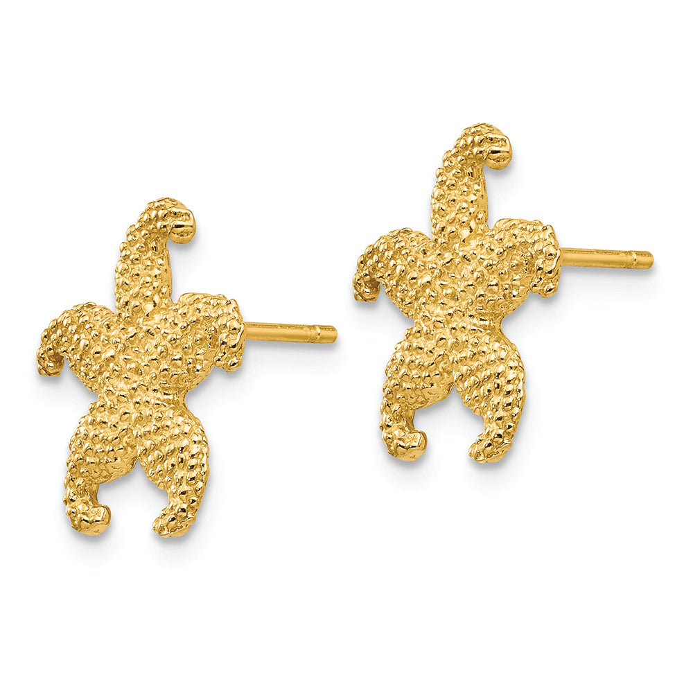 FJC Finejewelers 14k Yellow Gold Starfish Post Earrings 14 x 15mm