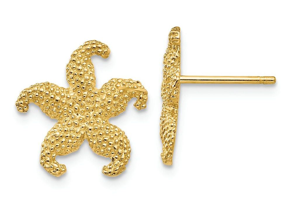 FJC Finejewelers 14k Yellow Gold Starfish Post Earrings 14 x 15mm