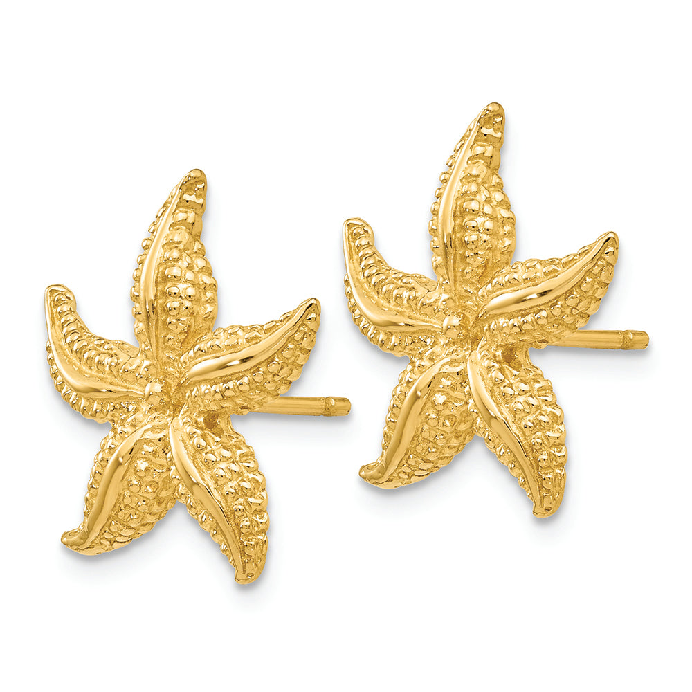 FJC Finejewelers 14k Yellow Gold Starfish Post Earrings