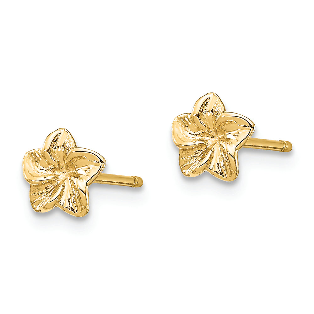 FJC Finejewelers 14k Yellow Gold Plumeria Flower Post Earrings