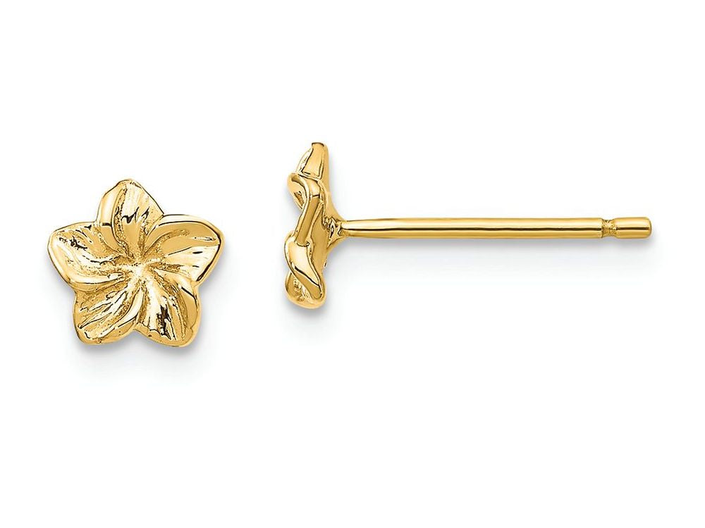 FJC Finejewelers 14k Yellow Gold Plumeria Flower Post Earrings