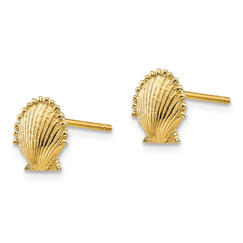 FJC Finejewelers 14k Yellow Gold Scallop Shell Post Earrings 9 x 8mm