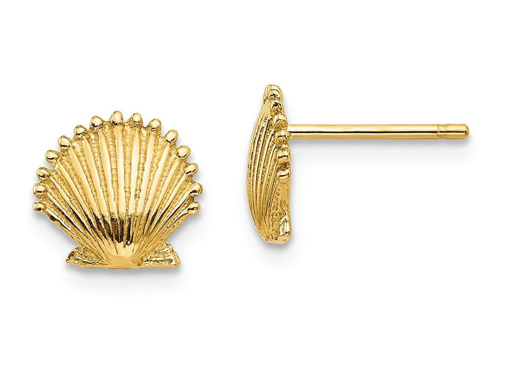 FJC Finejewelers 14k Yellow Gold Scallop Shell Post Earrings 9 x 8mm
