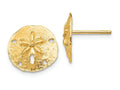 FJC Finejewelers 14k Yellow Gold Sand Dollar Post Earrings
