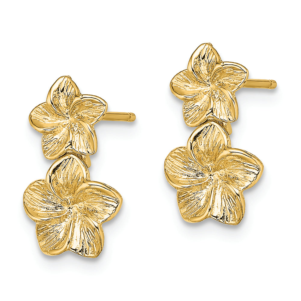 FJC Finejewelers 14k Yellow Gold Double Flower Drop Post Earrings Plumeria