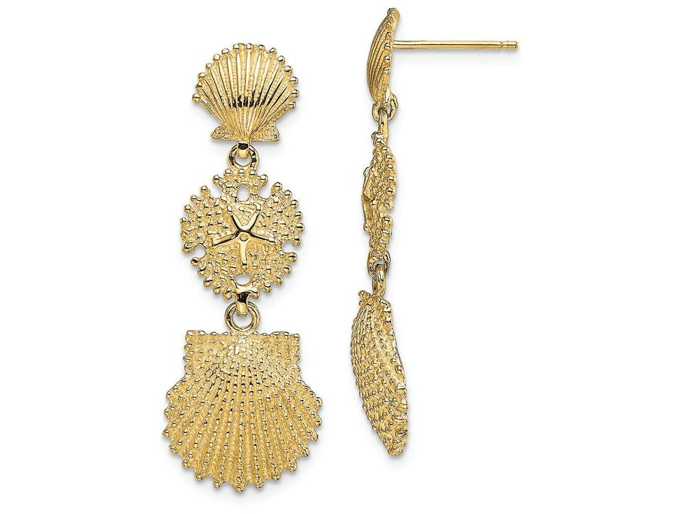 FJC Finejewelers 14k Yellow Gold Scallop Sand Dollar Scallop Dangle Earrings