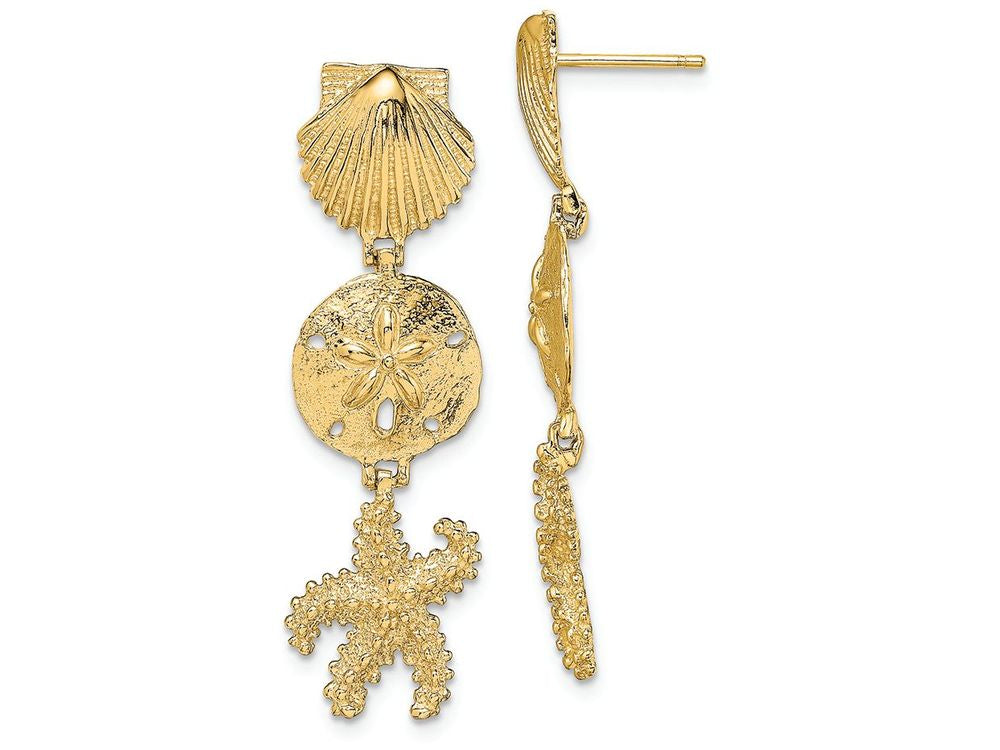 FJC Finejewelers 14k Yellow Gold Shell Sand Dollar Starfish Post Earrings