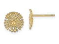 FJC Finejewelers 14k Yellow Gold Sand Dollar Textured Post Earrings