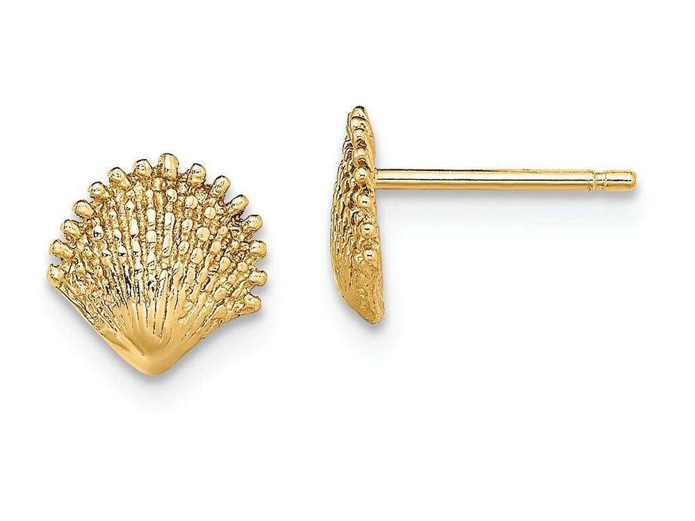 FJC Finejewelers 14k Yellow Gold Scallop Shell Post Earrings (2 0f 2)