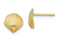 FJC Finejewelers 14k Yellow Gold Scallop Shell Post Earrings