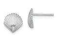 FJC Finejewelers 14k White Gold Scallop Shell Post Earrings