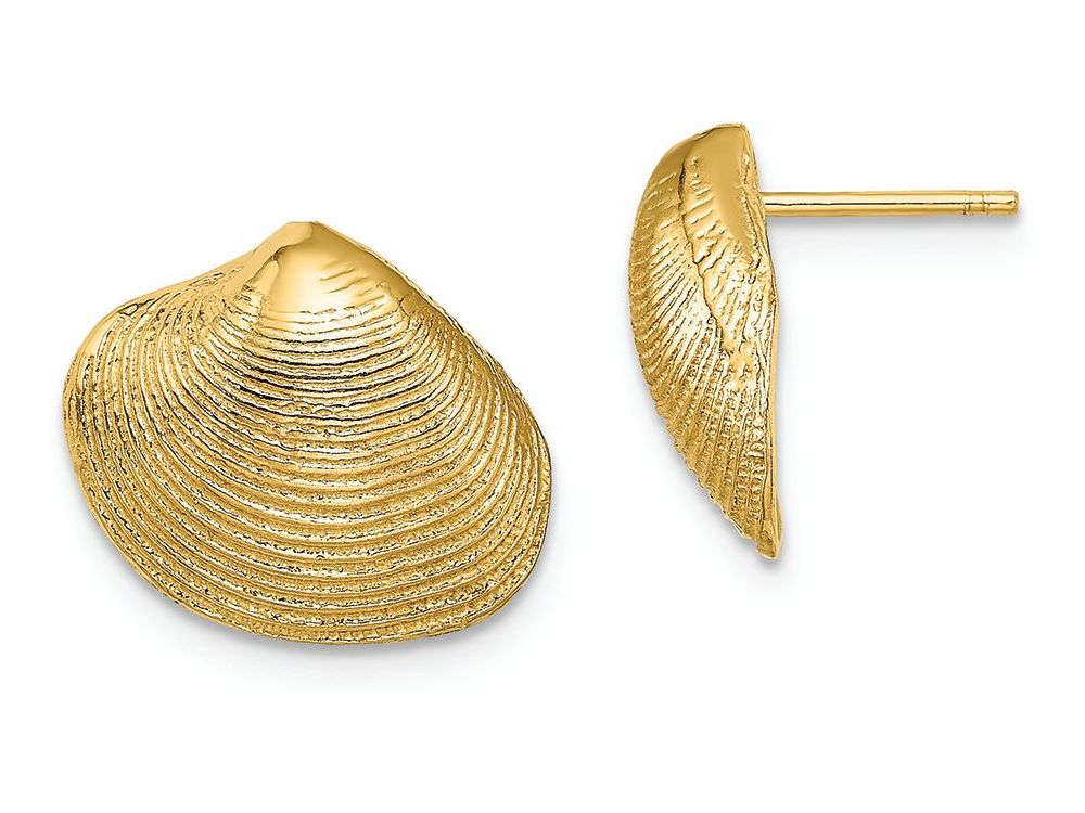 FJC Finejewelers 14k Yellow Gold Clam Shell Post Earrings