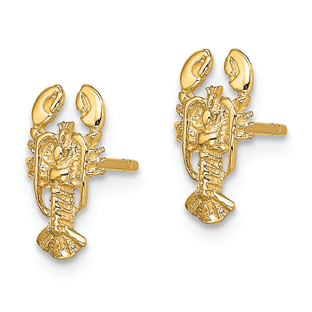 FJC Finejewelers 14k Yellow Gold Lobster Post Earrings