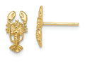 FJC Finejewelers 14k Yellow Gold Lobster Post Earrings