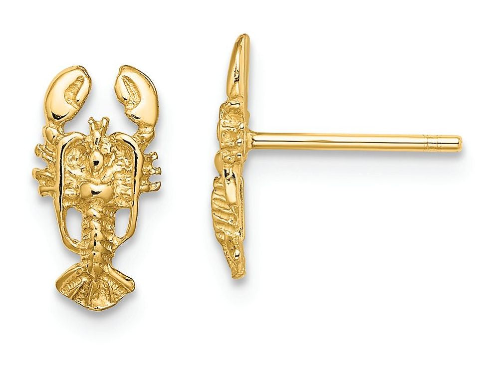 FJC Finejewelers 14k Yellow Gold Lobster Post Earrings