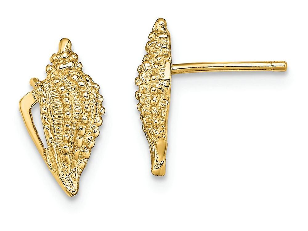 FJC Finejewelers 14k Yellow Gold Mini Conch Shell Post Earrings with Open Side