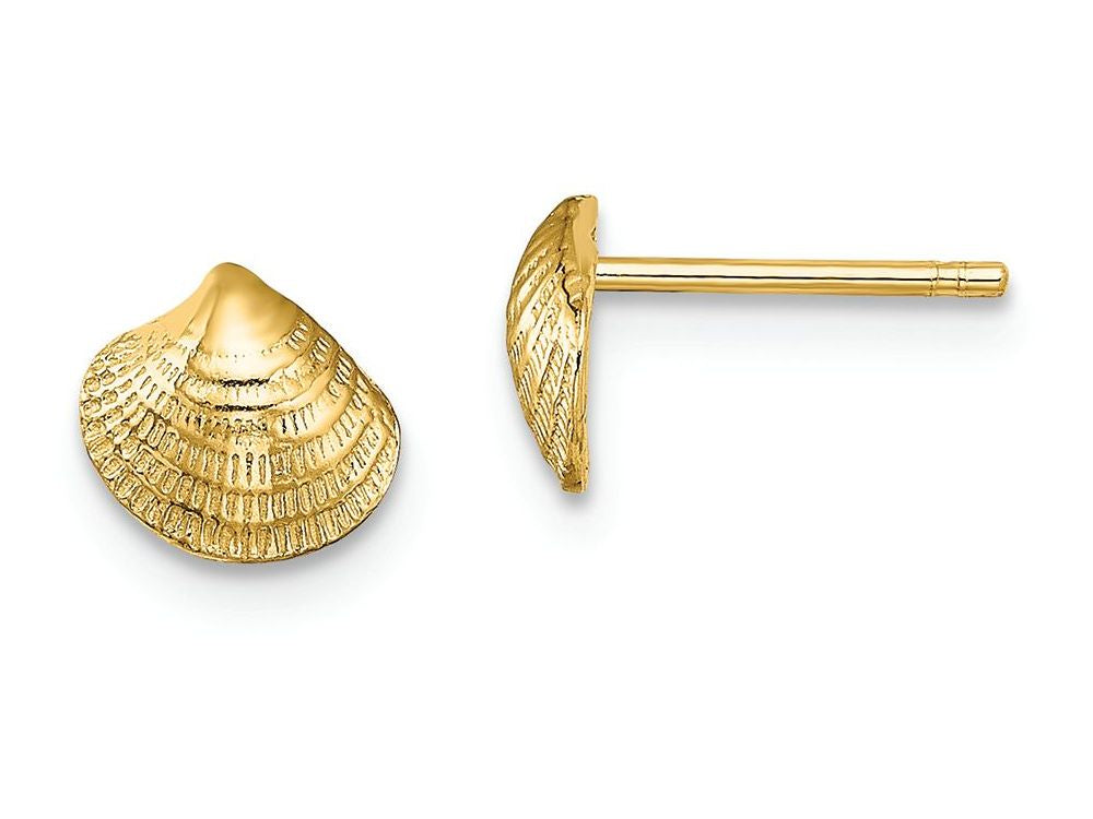 FJC Finejewelers 14k Yellow Gold Mini Clam Shell Post Earrings