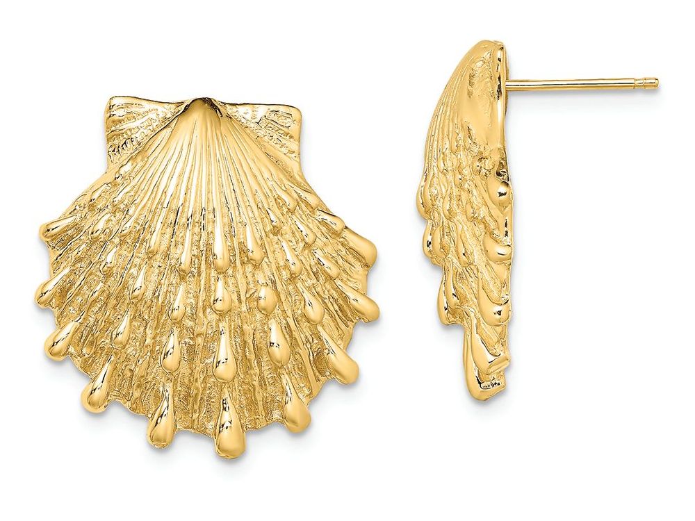 FJC Finejewelers 14k Yellow Gold Lion's Paw Shell Post Earrings