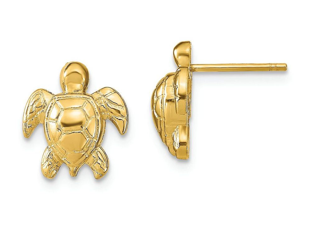 FJC Finejewelers 14k Yellow Gold Mini Sea Turtle Post Earrings Textured