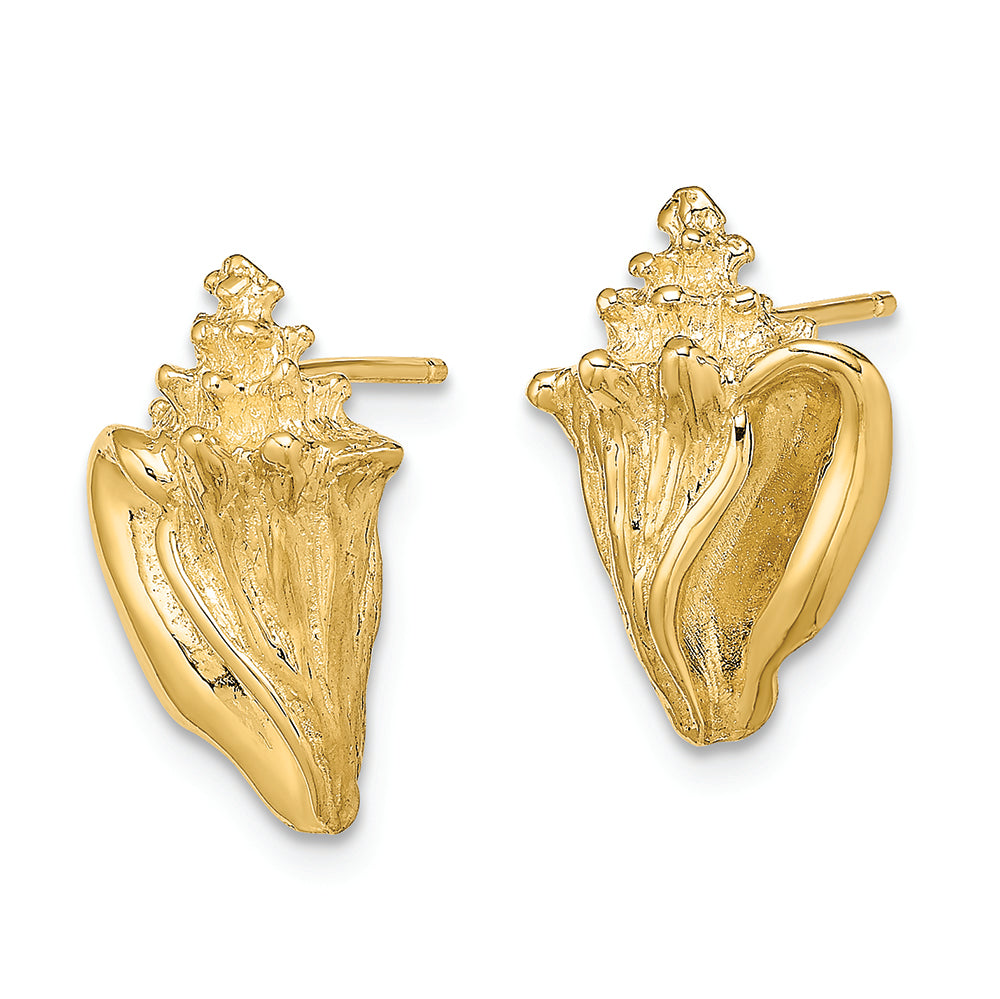 FJC Finejewelers 14k Yellow Gold Conch Shell Post Earrings