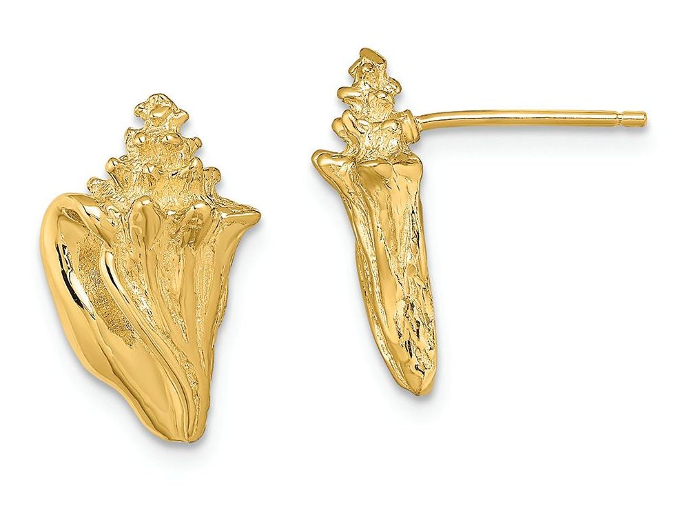 FJC Finejewelers 14k Yellow Gold Conch Shell Post Earrings