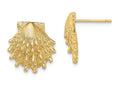 FJC Finejewelers 14k Yellow Gold Lion's Paw Shell Post Earrings