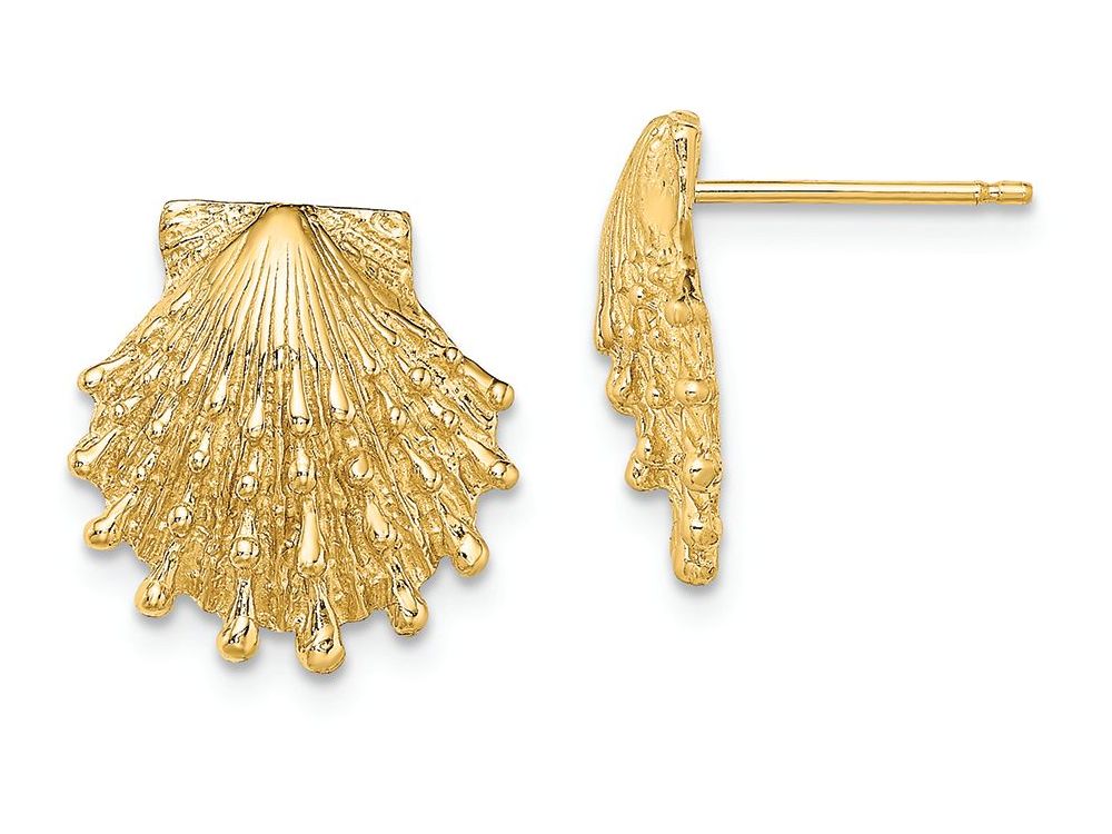 FJC Finejewelers 14k Yellow Gold Lion's Paw Shell Post Earrings