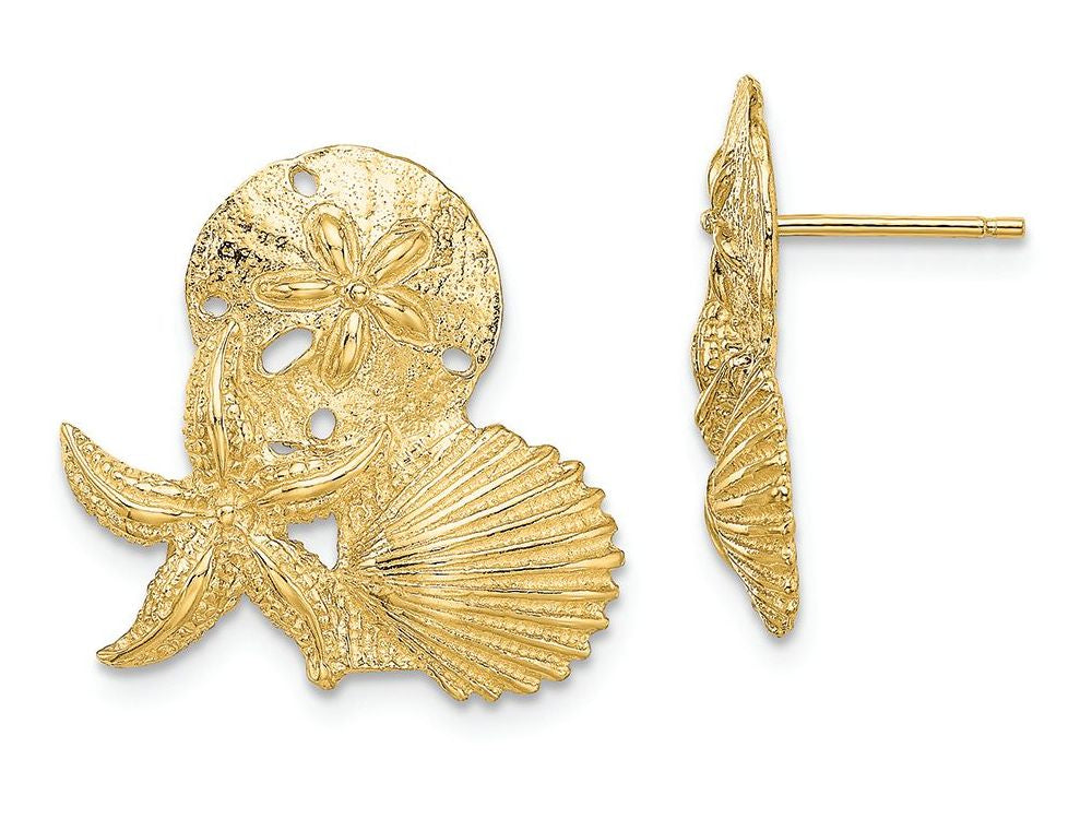 FJC Finejewelers 14k Yellow Gold Sand Dollar Starfish Scallop Cluster Post Earrings