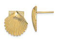 FJC Finejewelers 14k Yellow Gold Scallop Shell Post Earrings
