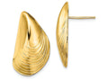 FJC Finejewelers 14k Yellow Gold Mussel Shell Post Earrings