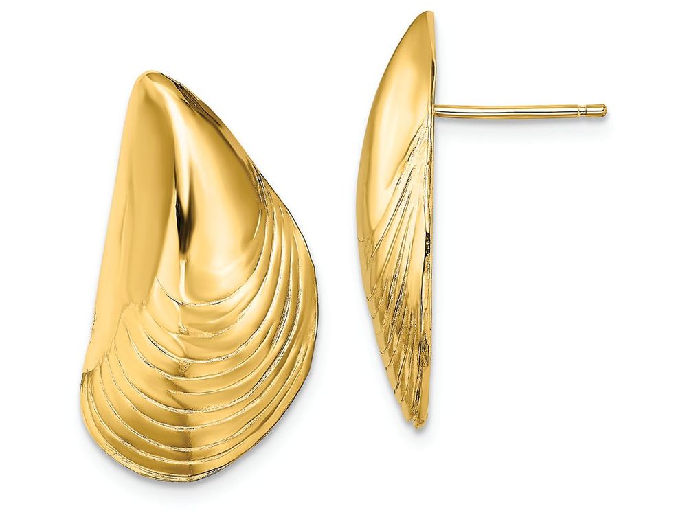 FJC Finejewelers 14k Yellow Gold Mussel Shell Post Earrings