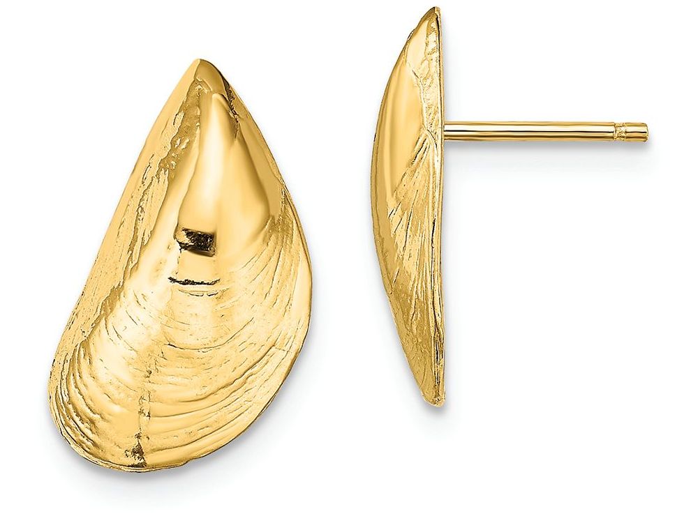 FJC Finejewelers 14k Yellow Gold Mussel Shell Post Earrings