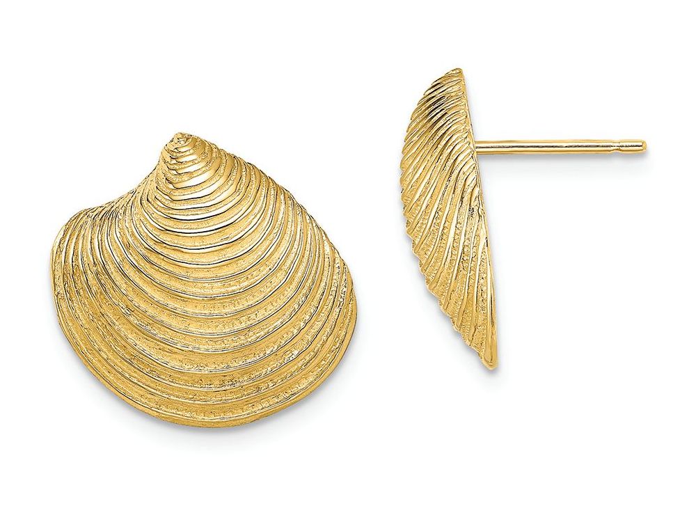 FJC Finejewelers 14k Yellow Gold Clam Shell Post Earrings Textured