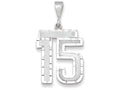 FJC Finejewelers 14k White Gold Large Bright Cut Number 15 Charm