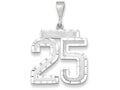 FJC Finejewelers 14k White Gold Large Bright Cut Number 25 Charm