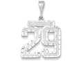 FJC Finejewelers 14k White Gold Large Bright Cut Number 29 Charm