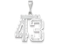 FJC Finejewelers 14k White Gold Large Bright Cut Number 43 Charm