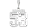 FJC Finejewelers 14k White Gold Large Bright Cut Number 53 Charm