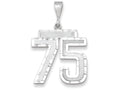 FJC Finejewelers 14k White Gold Large Bright Cut Number 75 Charm