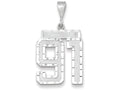 FJC Finejewelers 14k White Gold Large Bright Cut Number 91 Charm